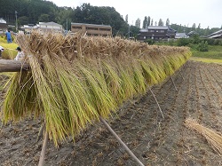 澤佐酒造