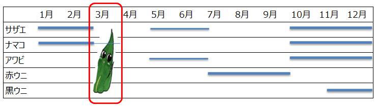 わかめ
