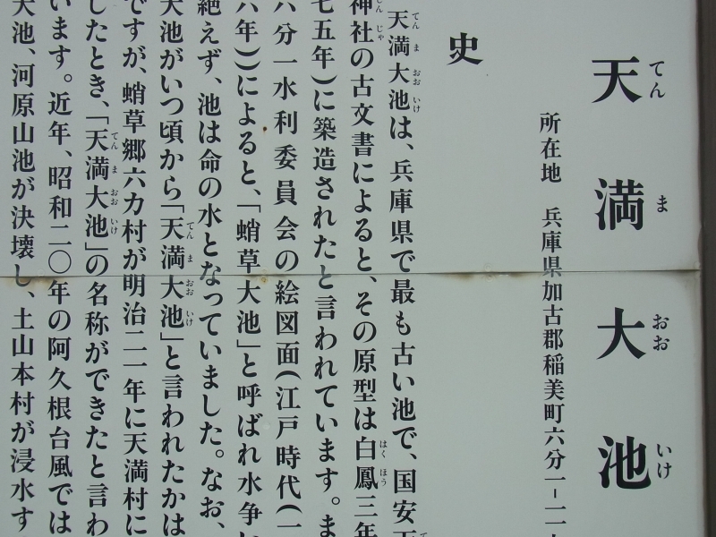 /data/blog/archive/original/31953.jpg