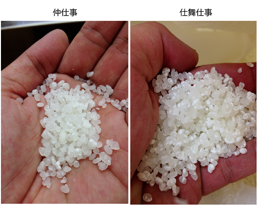 麹の状貌の変化①