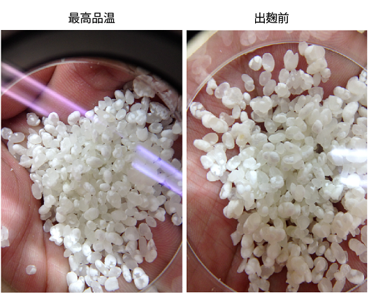麹の状貌の変化②