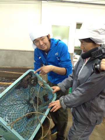 木村水産