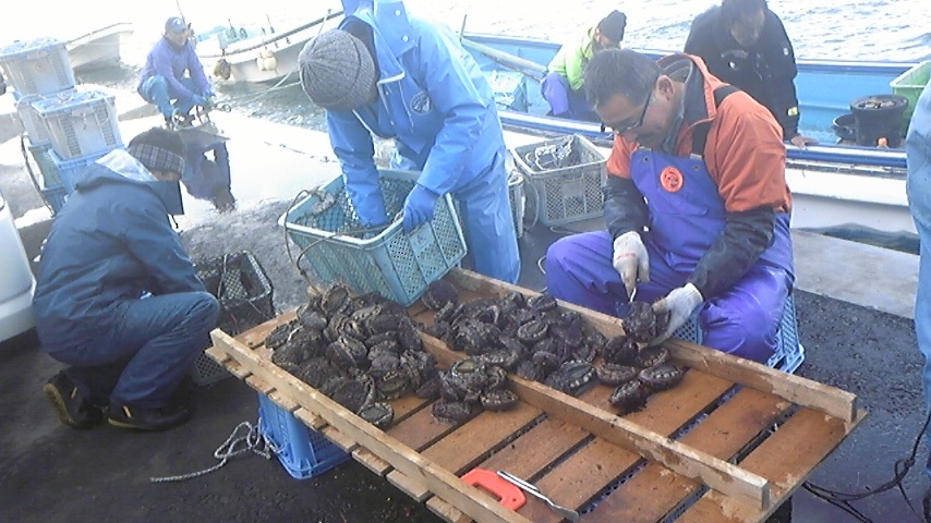 木村水産