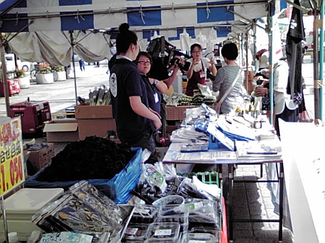 タツミ食品わかめファンド-市民ファンド