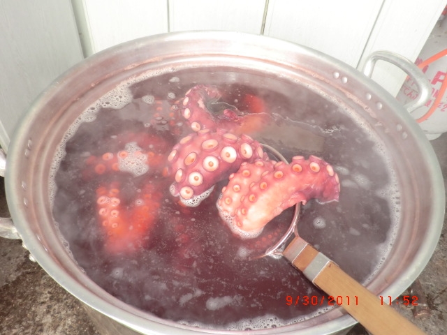 南三陸マルセン食品ファンド