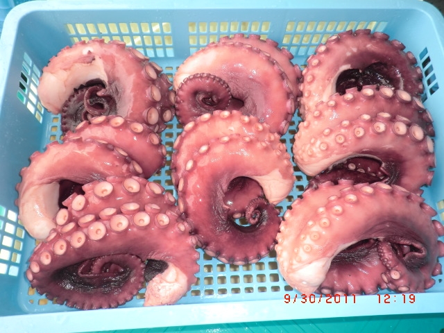 南三陸マルセン食品ファンド