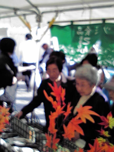 タツミ食品わかめファンド-市民ファンド