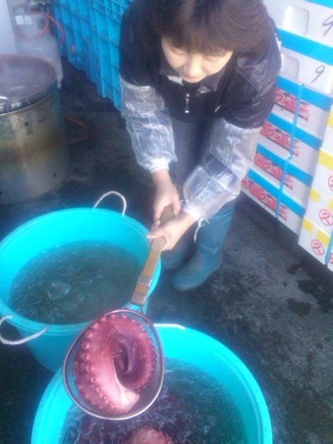 マルセン食品ファンド