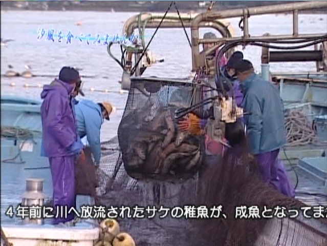 マルセン食品ファンド-市民ファンド