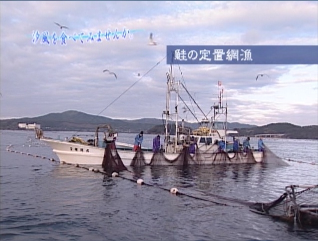 南三陸伊藤サケファンド-市民ファンド