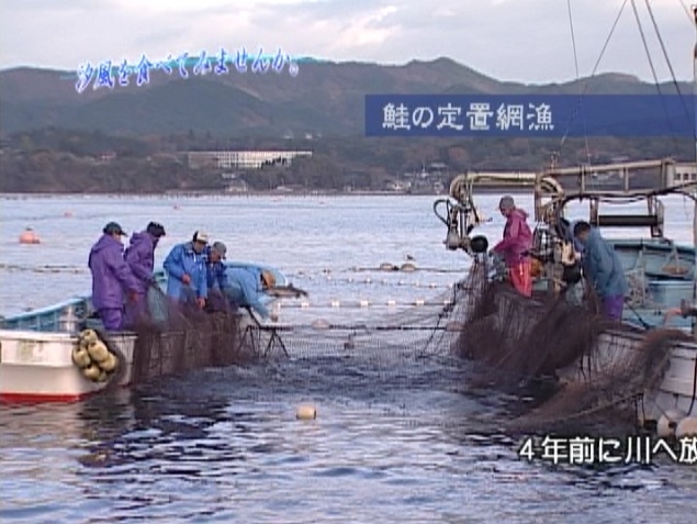 南三陸伊藤サケファンド-市民ファンド