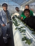 いちご