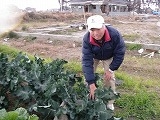 さんいち