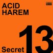 Secret13