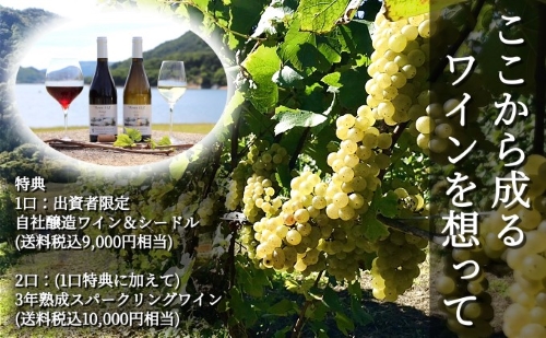 ユズファーム自社ワイナリー設立ファンド
