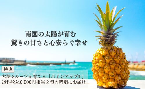 爽やかな甘み溢れる完熟パインアップルファンド
