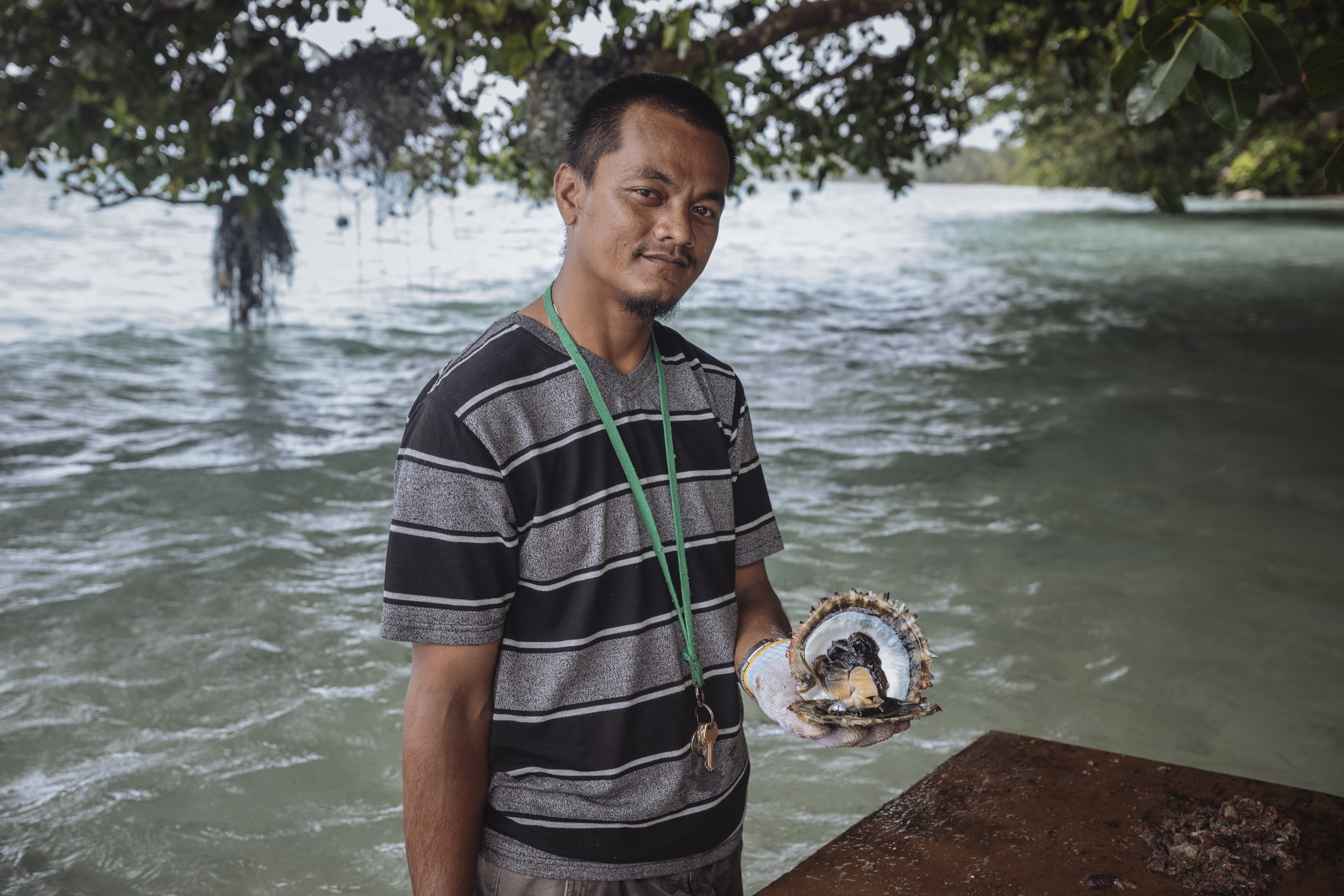 国際移住機関（国連IOM）支援寄付