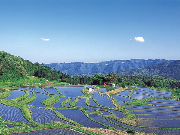 田園