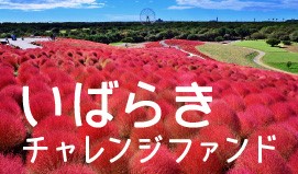 のびしろ日本一。いばらき県